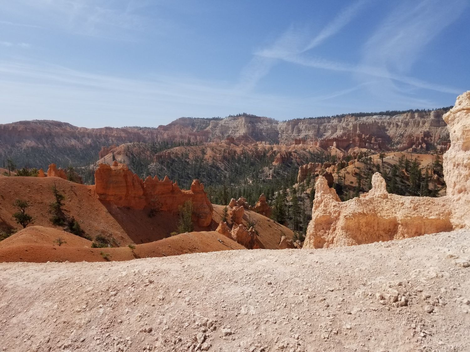 Queens/Navajo 